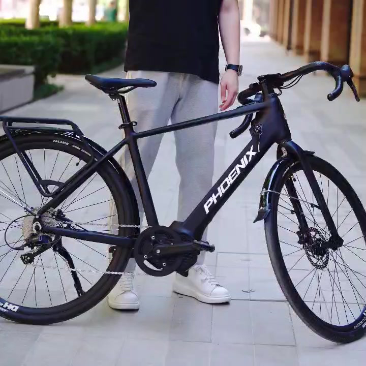 Xe đạp trợ lực Phoenix LR Xe đạp trợ lực Phoenix LR