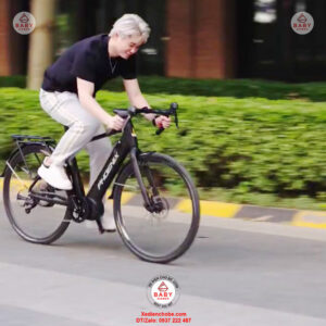 Xe-dap-tro-luc-Phoenix-A9-pro-vanh-tam-10