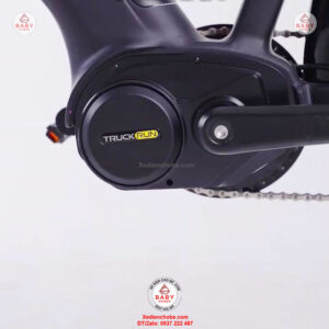 Xe-dap-tro-luc-Phoenix-A9-pro-vanh-tam-14