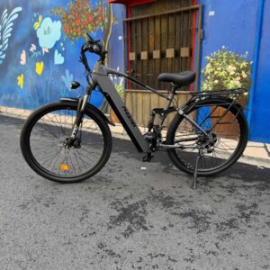 Xe đạp trợ lực Phoenix M16, vành tăm