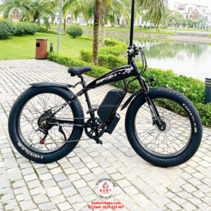 Xe đạp điện trợ lực Raptor X, Pin rời Xe đạp điện trợ lực Raptor X, Pin rời