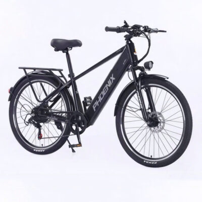 Xe đạp trợ lực Phoenix B9 Pro, Pin Rời