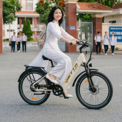 Xe đạp trợ lực Vietta V1, thương hiệu Việt