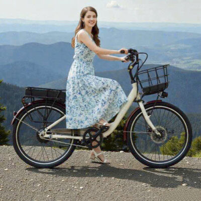 Xe đạp trợ lực Sallway Lady 24, thương hiệu Việt