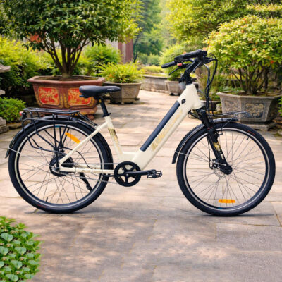 Xe đạp trợ lực Sallway Strong 03 Pro, thương hiệu Việt