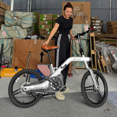 Xe đạp trợ lực Yadea Innovator, gấp gọn, pin ròi