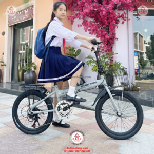 Xe đạp trợ lực gấp gọn Trường Vương Basic, Pin rời, thương hiệu Việt Xe đạp trợ lực gấp gọn Trường Vương Basic, Pin rời, thương hiệu Việt