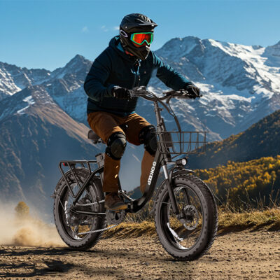 Xe đạp trợ lực bánh béo GoKeep L20, 750w, hàng xuất Châu Âu