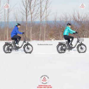 Xe-dap-tro-luc-gap-gon-banh-beo-GoKeep-L20-750w-14
